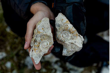Géologie au coeur de la Pologne - Pologne