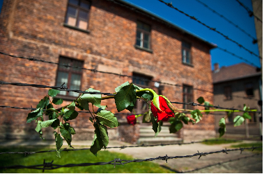 La route de la Shoah : de Berlin à Cracovie - 