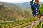 La vallée du Douro