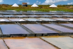 Aveiro Salines