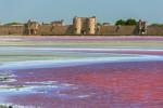 Marais Salants Aigues Mortes 