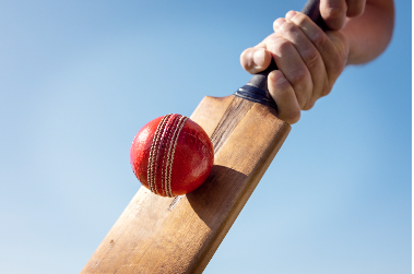Cardiff Sportif - 
