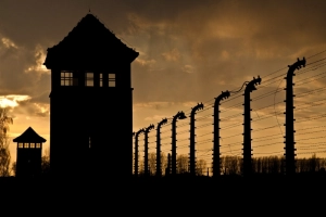 Cracovie - Auschwitz : histoire et mémoire