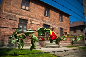 La route de la Shoah : de Berlin à Cracovie