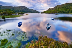 Trésors du sud de l'Irlande