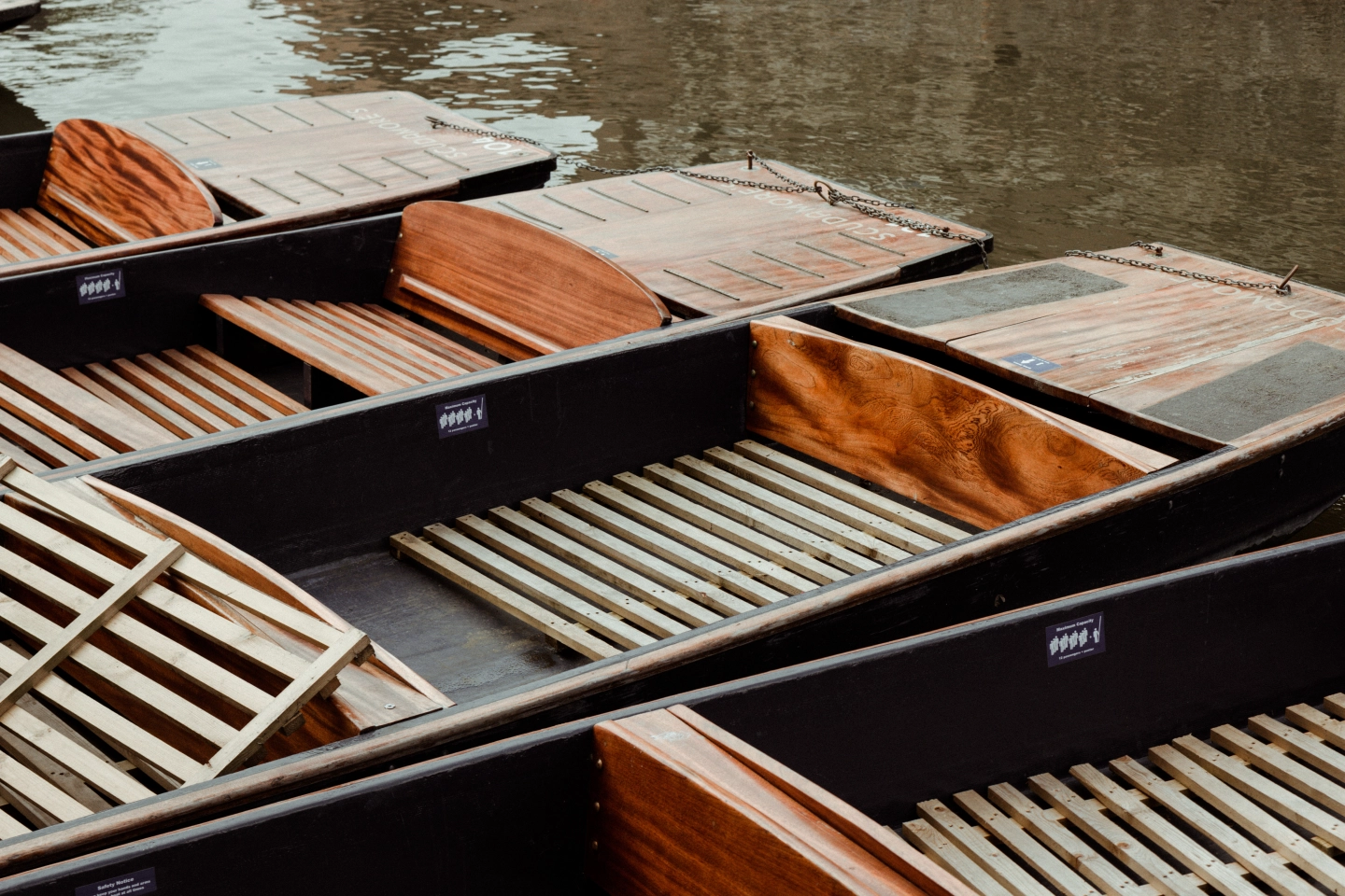 Punt Cambridge