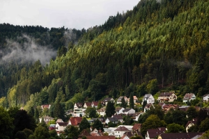 Fribourg et Strasbourg via Europa Park