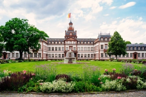 L'Allemagne des frères Grimm