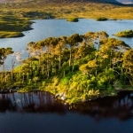 Twelve Pines Island Connemara