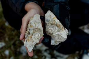 Géologie au coeur de la Pologne