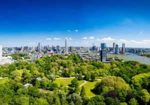 Rotterdam : le Manhattan des Pays-Bas