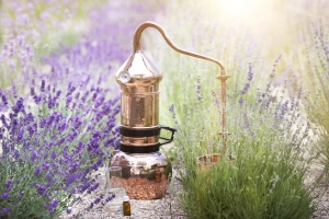Eveil des sens en Provence