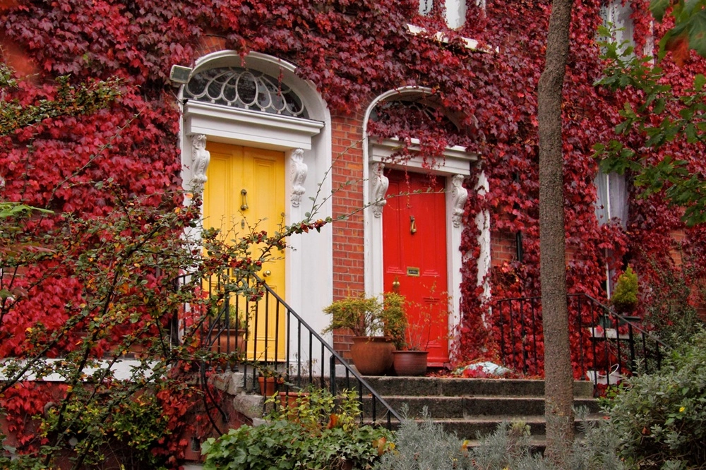 Portes colorées à Dublin