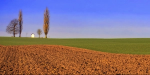 Agri'culture en Wallonie
